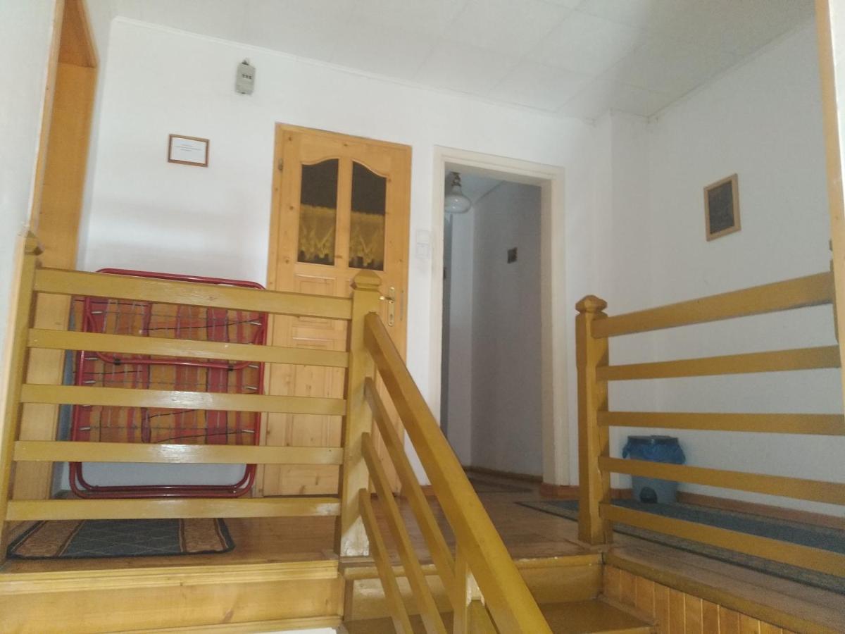 Pokoje U Tadeusza 扎科帕内 外观 照片